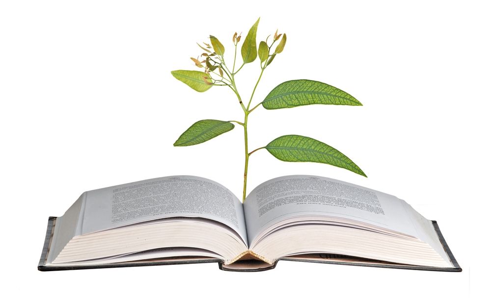 El mundo del libro pertenece a Mondadori k2_items_src_97d2860871f3d35e35f6eb0477d3015a