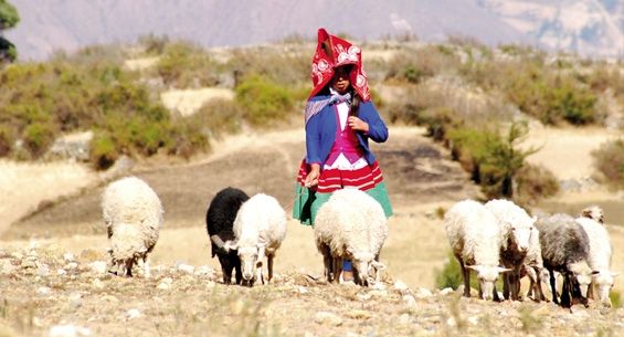 Perú k2_items_src_ffb67c0cbdf3cc4dd2a13b69ce367cd4