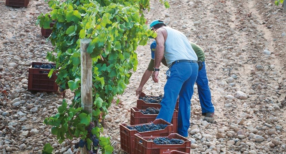 k2_items_src_b320775de3c297425b69dccc362220a9