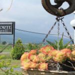 254709_238075082890372_100000636461128_807757_1727993_n