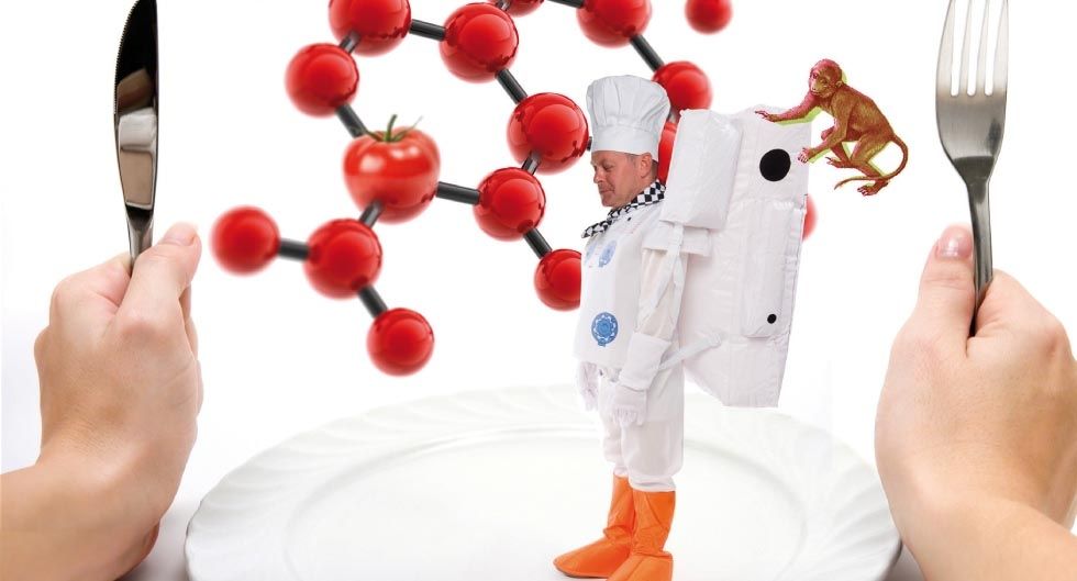 Dime tus genes Y y te diré qué comer k2_items_src_569585164bf57f8a1e8703b19497bdbc