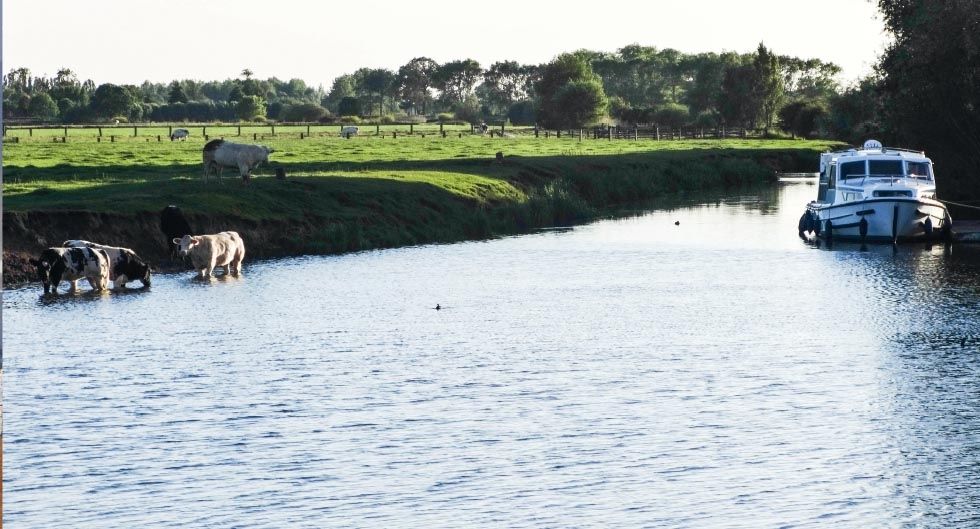 FLANDES y GANTE k2_items_src_072519f74a95ea36f571d1e83f1c23bd