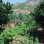 Senderismo-por-Hornachos