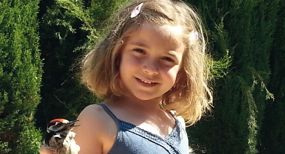 k2_items_src_1eca156427374c8abf4738e42b464eef