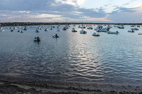 Stany-des-peix-Icafe-del-lago