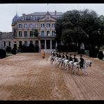 L-Carrusel-Exterior-Diagonal