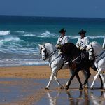 L-Paso-de-Tres-playa