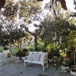 Jardín-Estrella-del-Bajo-Carrion