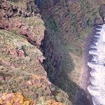 playa-de-los-nogales2