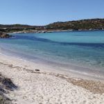 Bahia-Greco_cavallo2