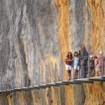 Ornitologia-Enrique-Salas