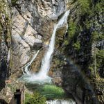 mojcaodar_savica_orig