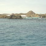 Isla-de-lobos