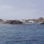 isla-de-lobos1