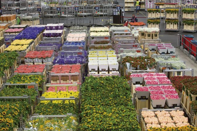 I_amsterdam_5944_Cris-Toala-Olivares_Editorial