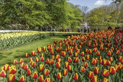 I_amsterdam_7042_Keukenhof_RoyaltyFree