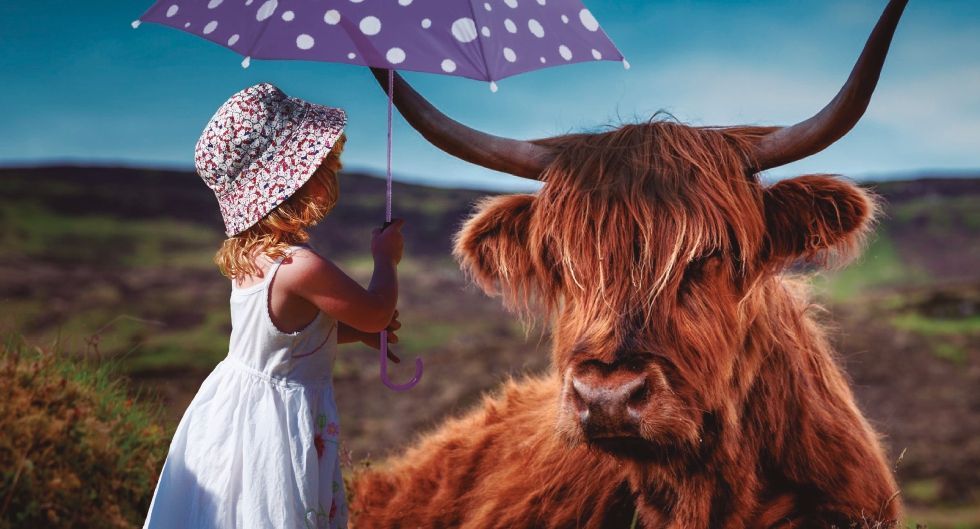 La empatía k2_items_src_b101fa9bdd0c35b4319fa7cdeb1495ae