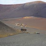 Echadero-de-los-Camellos