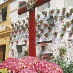 crdoba-cruces-de-mayo-1_4128051382_o