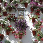 crdoba-patio-4_4128079676_o