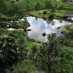 Jardines-Gyokunsen-en--