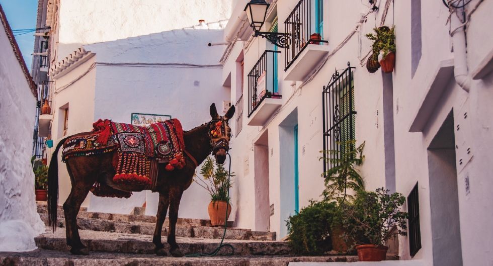 k2_items_src_f8b84457f79954b52239c255e44b3bb1