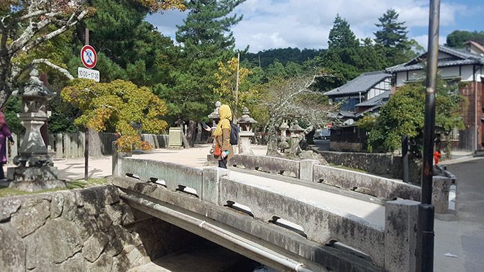 Miyajima3