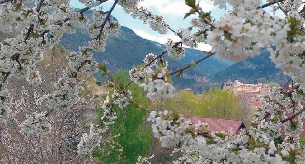 k2_items_src_788d4790740036c255a4f0d77de6b3d2