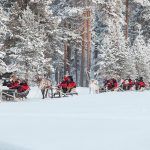 ReindeerSafari-©VisitFinland