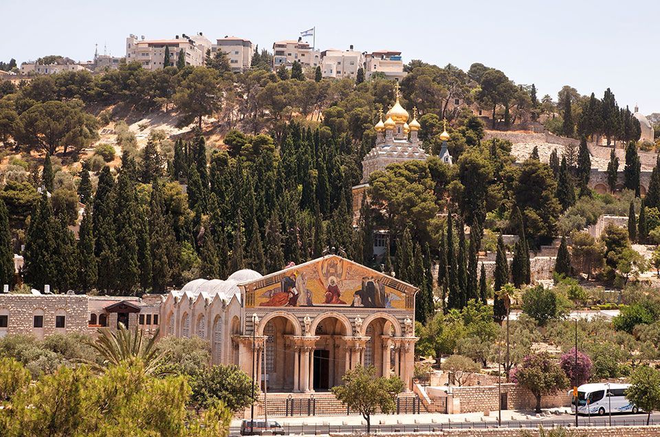 Jerusalem_Mt-of-Olives_1_Noam-Chen_IMOTjpg