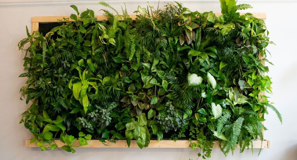 k2_items_src_8779f785bcfd963444b2987ce08d221b