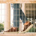 9cc8d150-10d5-4d0c-9394-638d7a325491