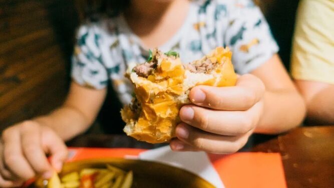 k2_items_src_88b72442fc378fc76c587ff81f25e63a