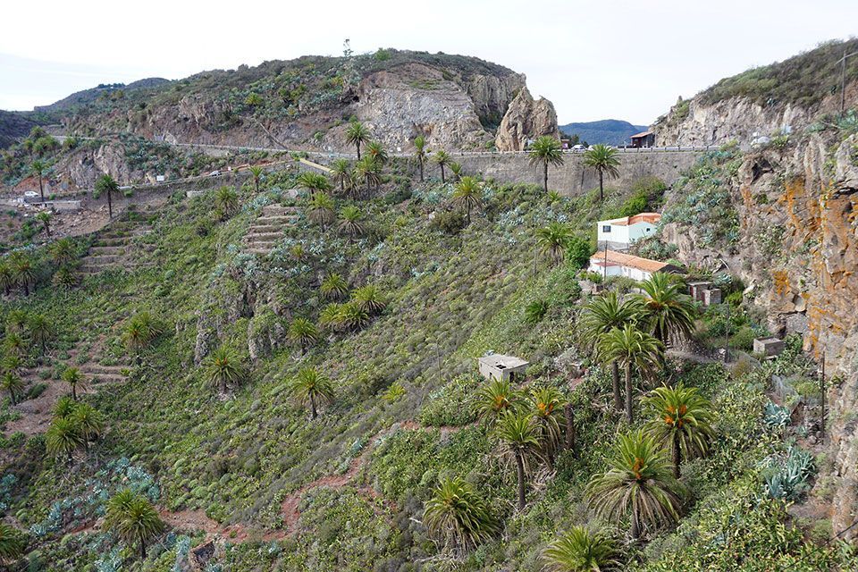 paisaje-1