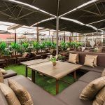 14alta-zielouespacio