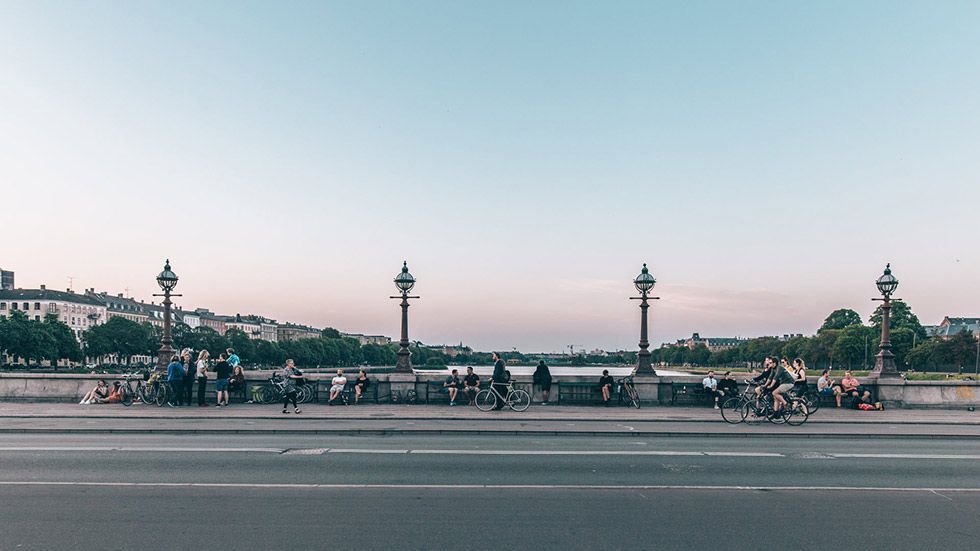 Martin-Heiberg-puente-lagos