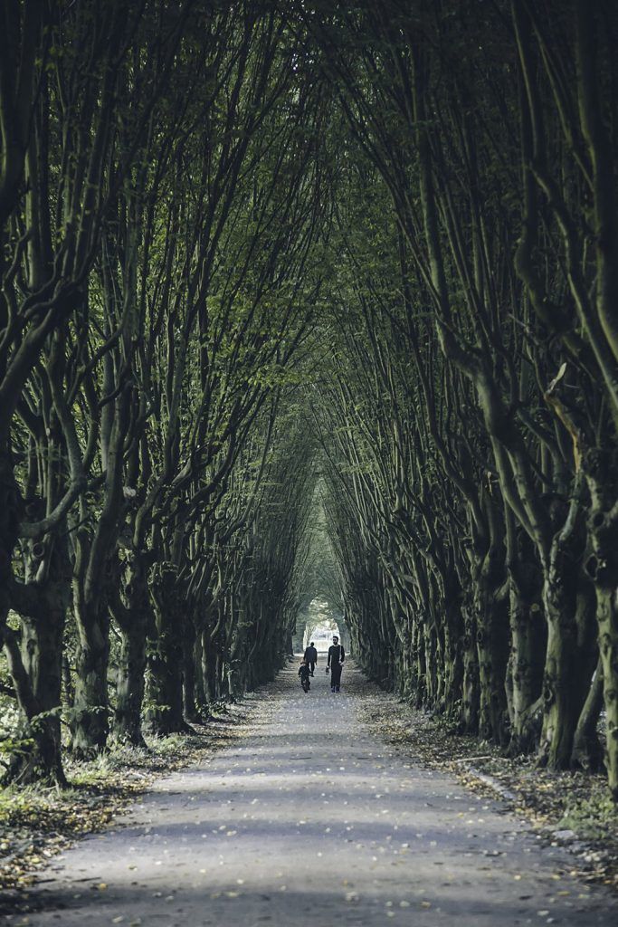 Thomas-Hyrup-Christensen-cementerio