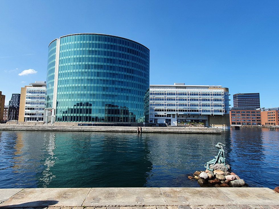 sirenita-geneticamente-modificada-1