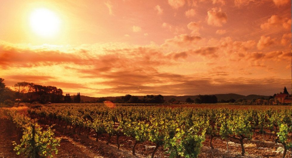 k2_items_src_0c84ab19d43307514d9470b51a44e5d3