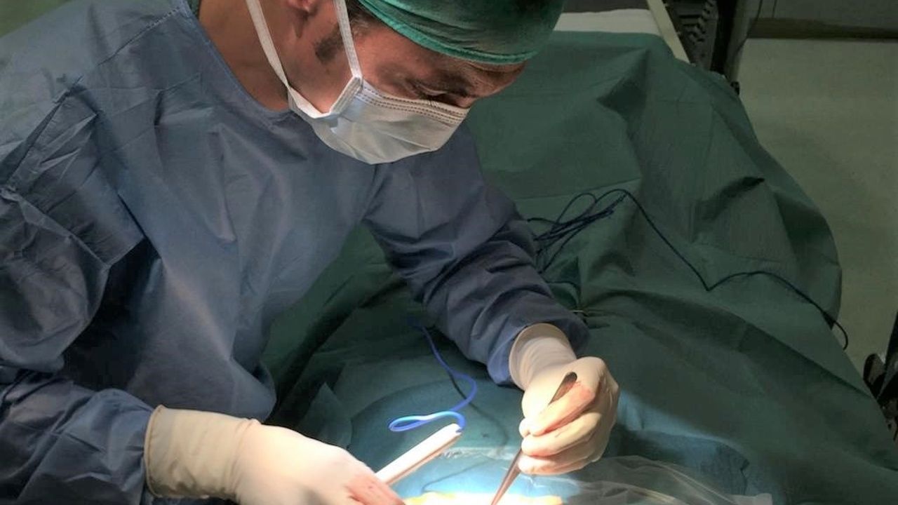 El Hospital La Luz ofrece una novedosa técnica de implante de marcapasos capaz de lograr una estimulación más fisiológica para el latido cardíaco k2_items_src_7e2a7bc6de8db5ab73702ead54a99edc