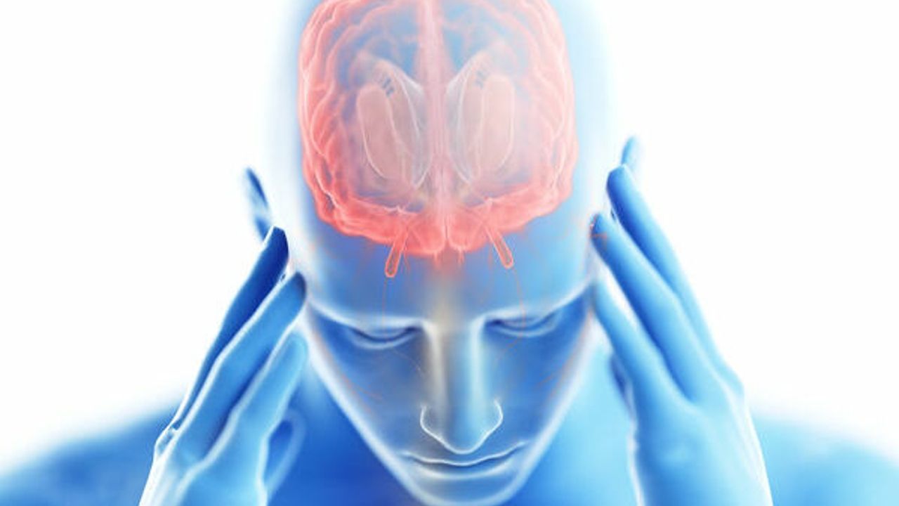 En España se diagnostican cada año 1.200 nuevos casos de encefalitis k2_items_src_b627f45ad56b9d5135fd4be155fb778e