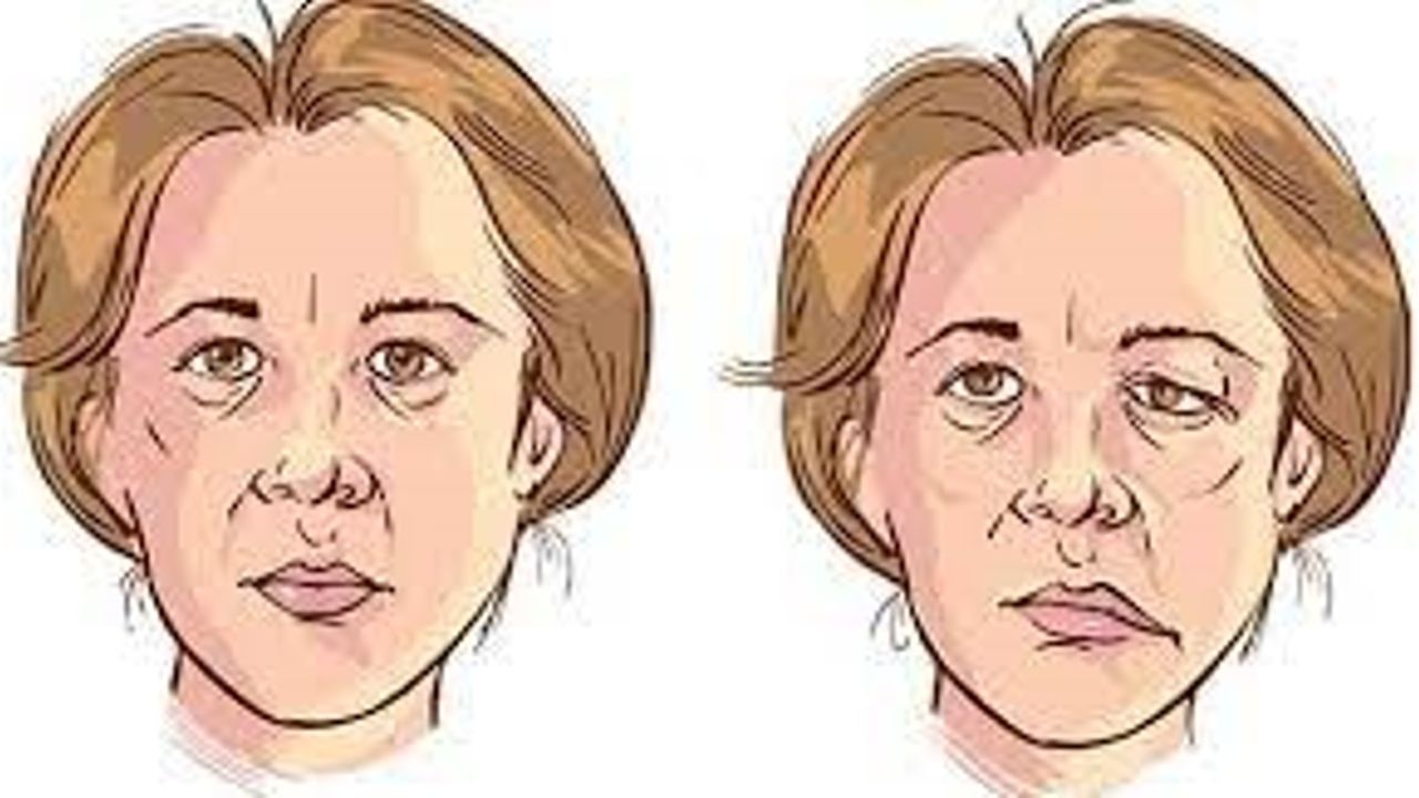 k2_items_src_b1678c7578ec937ca9cc2c4475a09afc