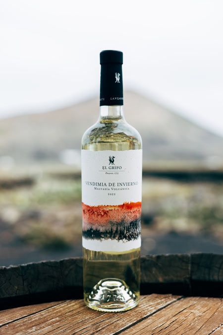 vendimia de invierno 2