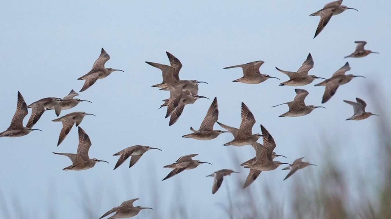 k2_items_src_9c4fb1eeba8066c3017ddee84a688442