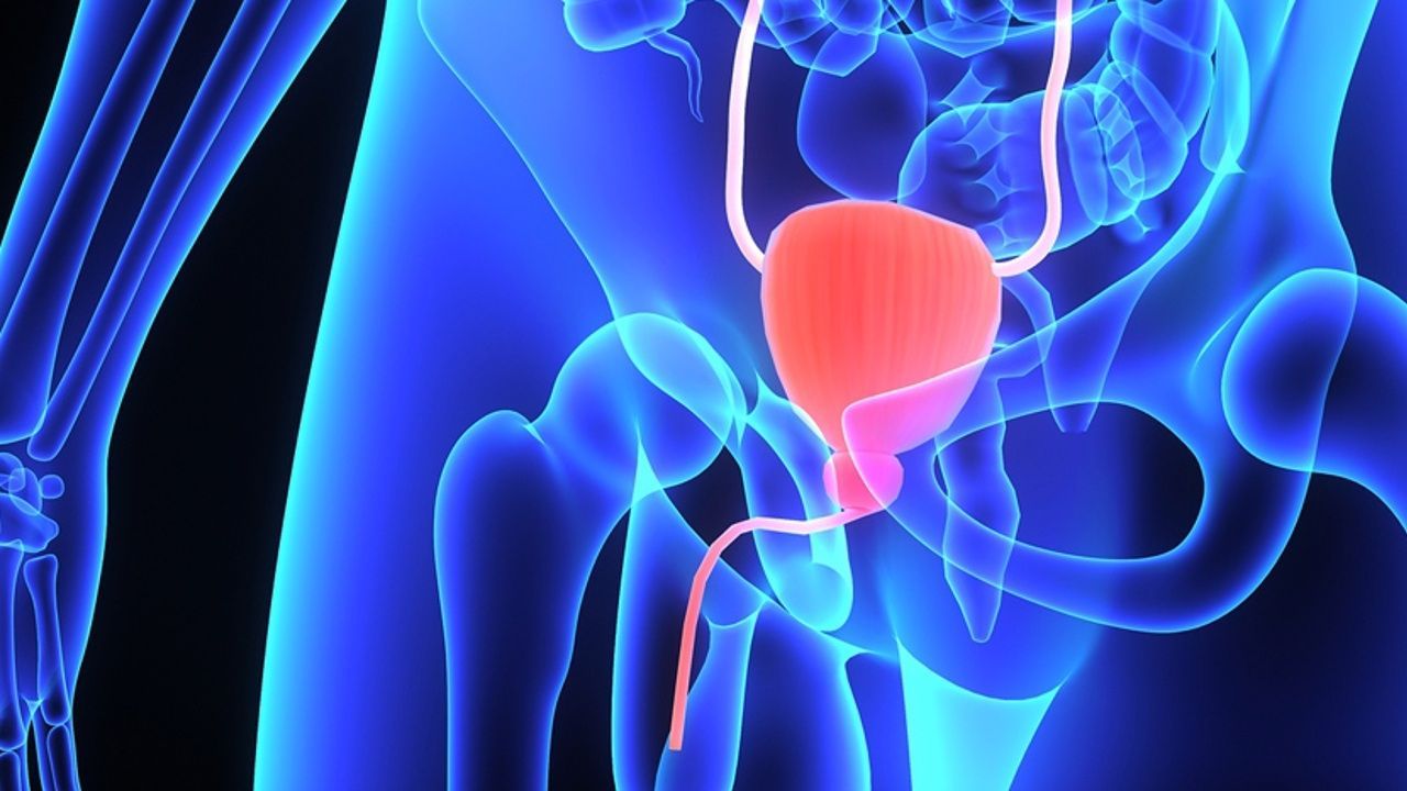 Láser verde, cirugía robótica o biopsia de fusión: las técnicas más punteras en salud prostática k2_items_src_f22faa60a999f32e51c965f3ad5fd55a