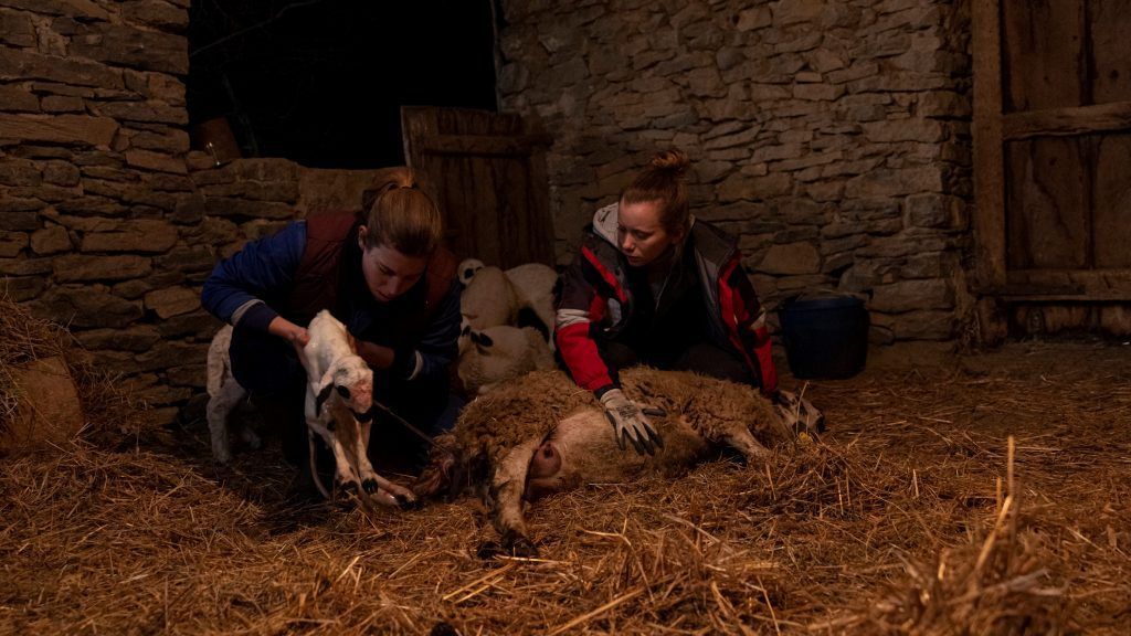 Lo que me queda de ti, protagonizada por Laia Manzanares y Ángela Cervantes