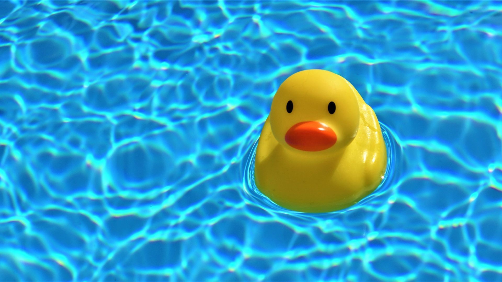 Turnos de las piscinas municipales de Madrid en agosto Piscina con un patito