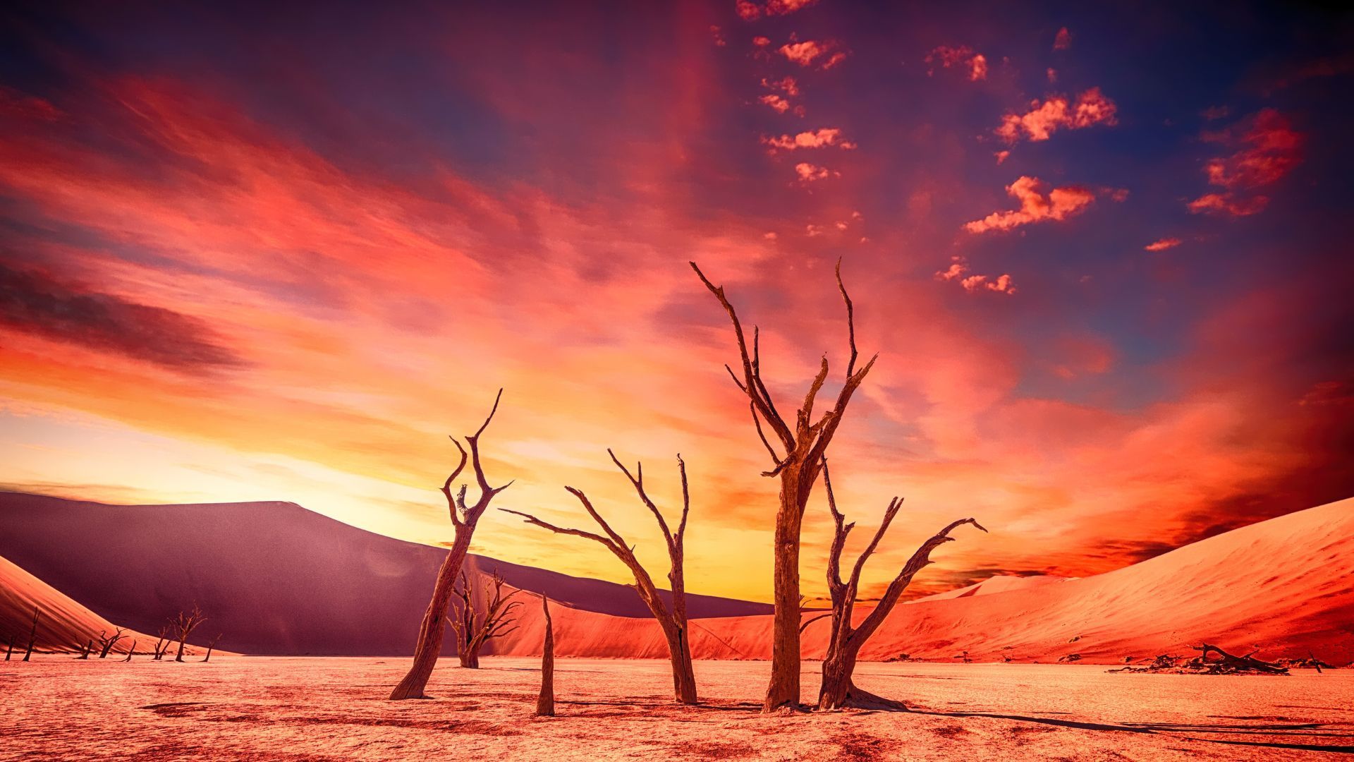 ¿Cómo sonarían Las Cuatro Estaciones de Vivaldi en la actualidad? El Teatro EDP Gran Vía lo imagina Desierto, cambio climático