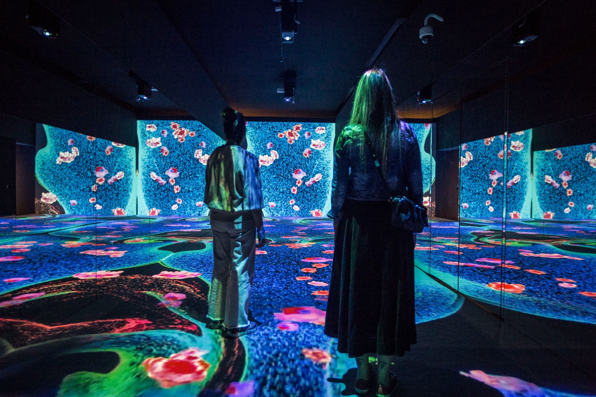 Última semana para visitar "Monet. Obras maestras del Musée Marmottan Monet", en CentroCentro foto-portada