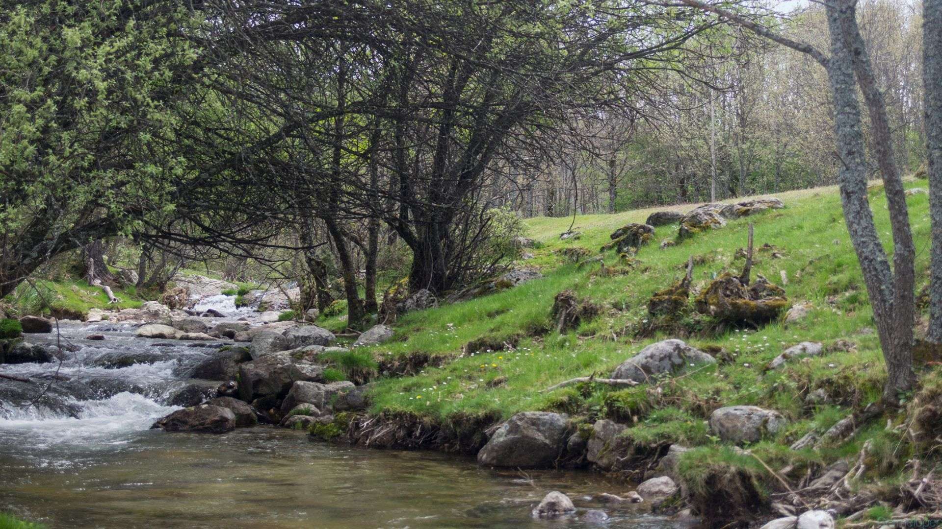 Foto de portada Las Presillas de Carmelo Peciña en Flickr.